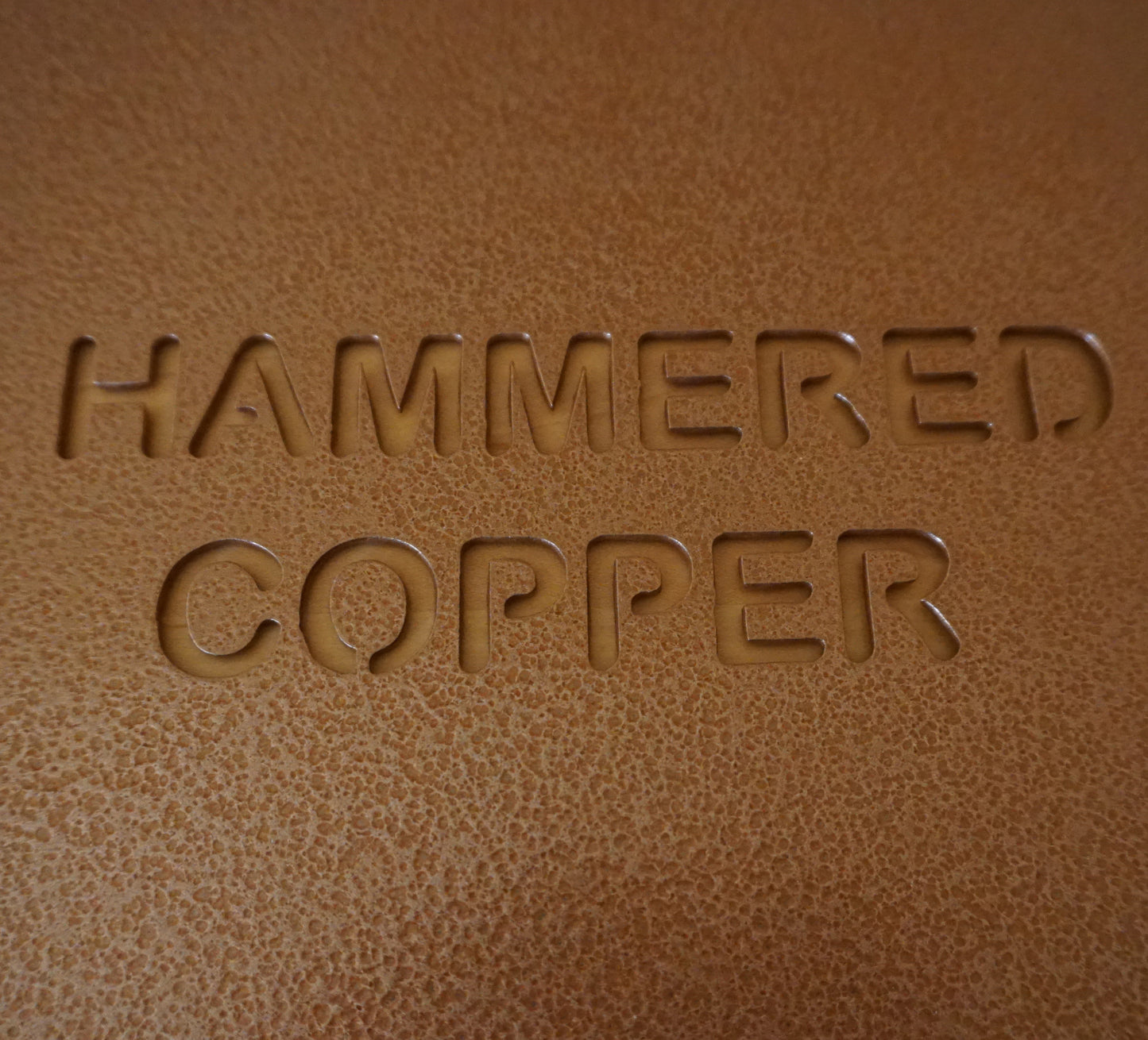 Metal Noel Sign (single word) / Farmhouse Decor (sample closeout sale)